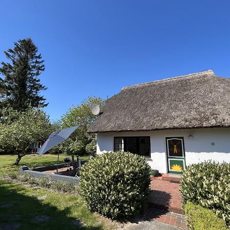 Ferienhaus Ilva In Born Vila Exterior foto
