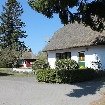 Ferienhaus Ilva In Born Vila Exterior foto
