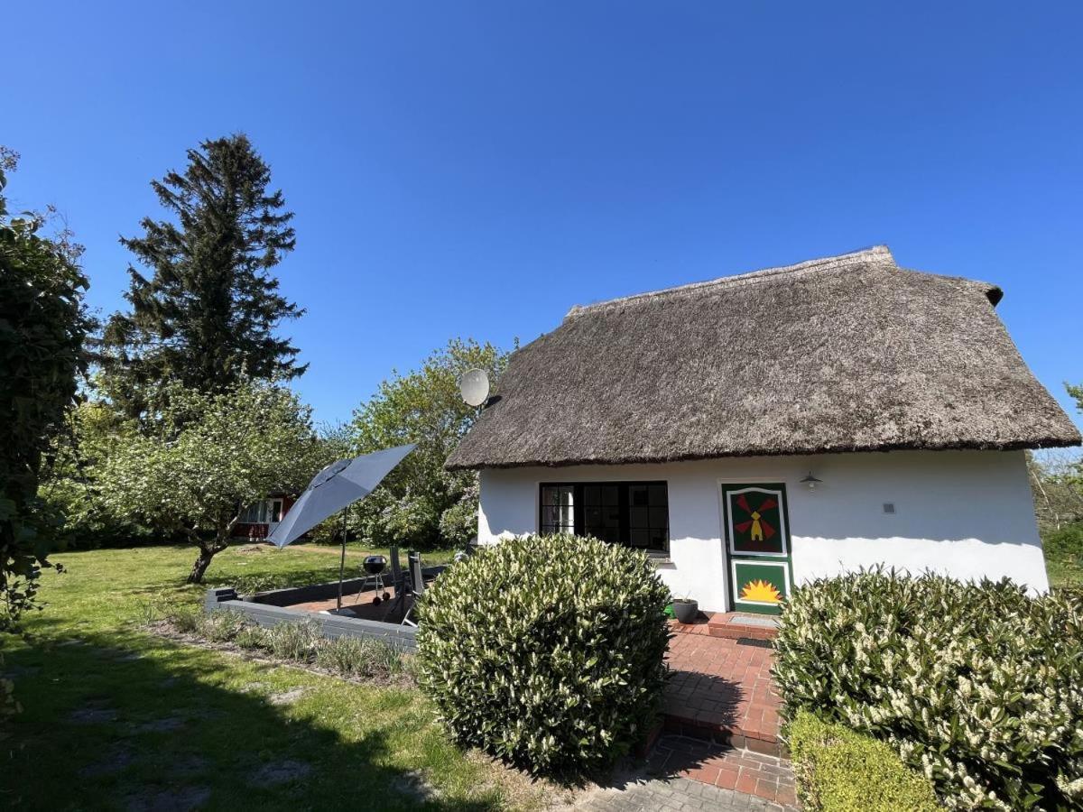 Ferienhaus Ilva In Born Vila Exterior foto